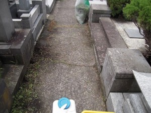 DSCN0283